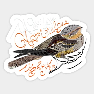 Nightjar, Naguiltjie Sticker